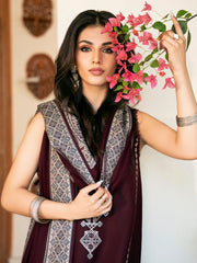 Izel Brand Most Popular 3 Piece Dhanak Fabric Premium Quality Stuff Embroidery Design ZN-1170