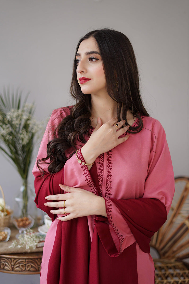 AISLING - 3PC DHANAK EMBROIDERED ZN-1087