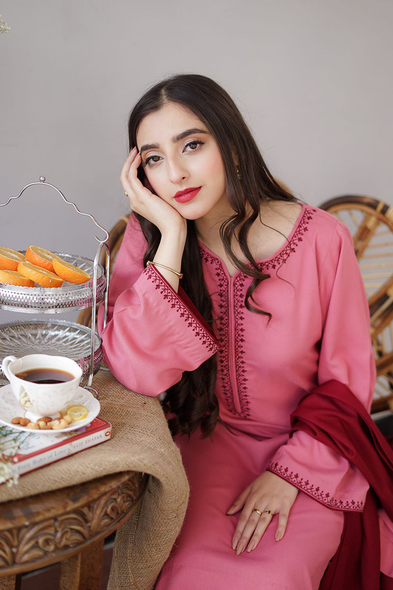AISLING - 3PC DHANAK EMBROIDERED ZN-1087