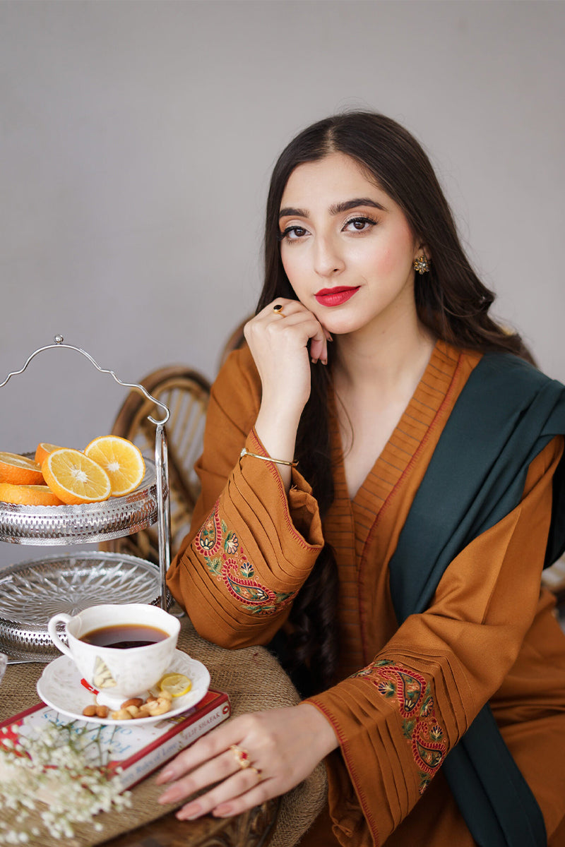 AISLING - 3PC DHANAK EMBROIDERED ZN-1062
